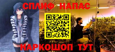 спайс Будённовск